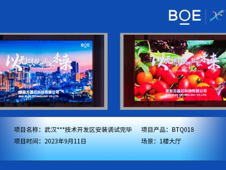 十堰武漢**技術(shù)開(kāi)發(fā)區(qū)1樓大廳BTQ018安裝調(diào)試完畢