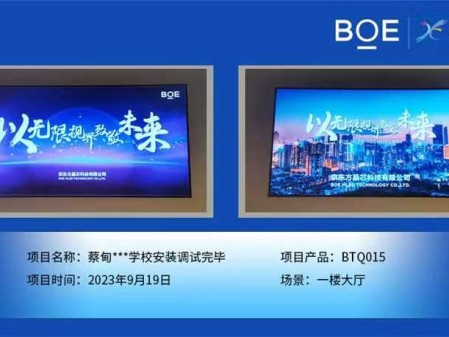 咸寧蔡甸**學(xué)校1樓大廳BTQ015安裝調(diào)試完畢