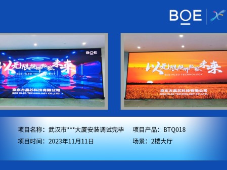 十堰武漢市***大廈2樓大廳BTQ018安裝調(diào)試完畢