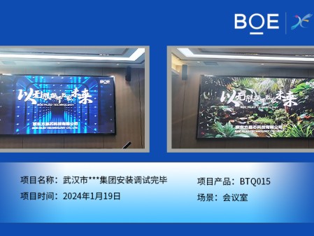 十堰武漢市**集團會議室BTQ015安裝調(diào)試完畢