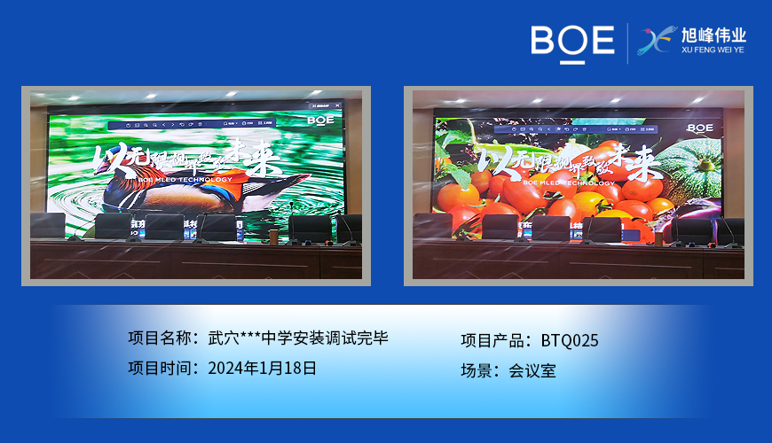 咸寧武穴***中學(xué)會(huì)議室BTQ025安裝調(diào)試完畢